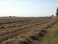Burwell Field.jpg
41.98 KB
512 x 384
4/26/02